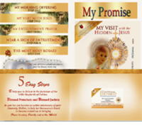 One Promise and 5 Easy Step Program